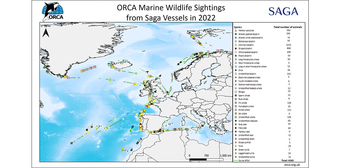 ORCA 2022 sightings map 